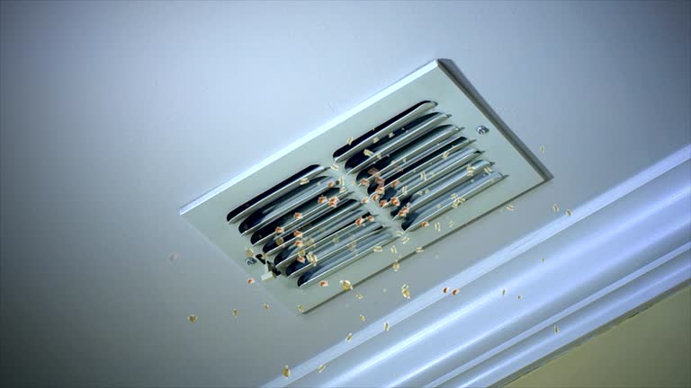 Best Local Air Duct Cleaning Services  in Cibolo, TX