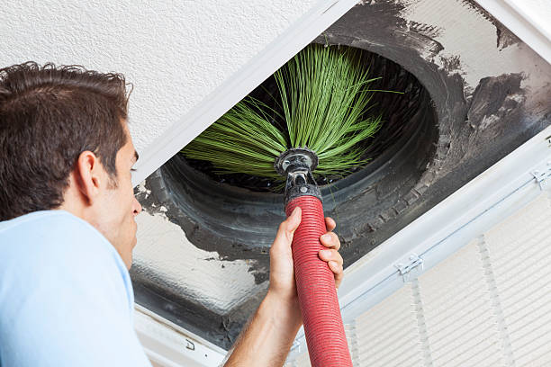 Best Dryer Vent Cleaning Services  in Cibolo, TX